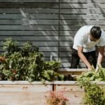 Gartenpflege