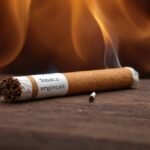 Ist in Zigaretten Schwein? Die überraschende Wahrheit über Inhaltsstoffe und Gesundheit.