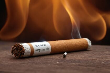 Ist in Zigaretten Schwein? Die überraschende Wahrheit über Inhaltsstoffe und Gesundheit.