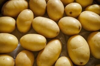 Kann man Kartoffeln einfrieren? Tipps und Tricks für die richtige Lagerung