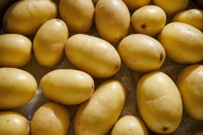 Kann man Kartoffeln einfrieren? Tipps und Tricks für die richtige Lagerung